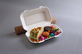 Sugarcane Bagasse 6” Cam Shell to go box - Sugarwares