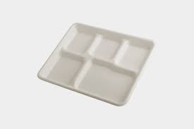 Bio-Degradable lunch tray By sugarwares