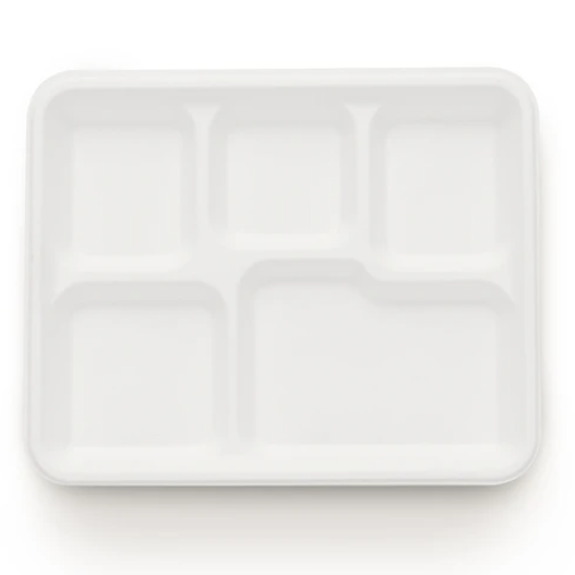 Bio-Degradable lunch tray By sugarwares